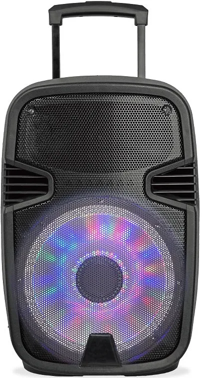 Altavoz - Sakkyo NPL2210DSP, Trolley, Micrófono, 6600mah batería, 450W